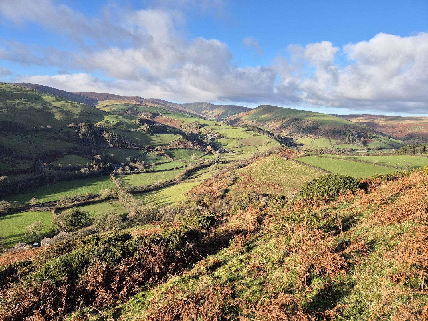 The Wedding Website of Catrin Mair Crawshaw and Tomos Owain Jones
