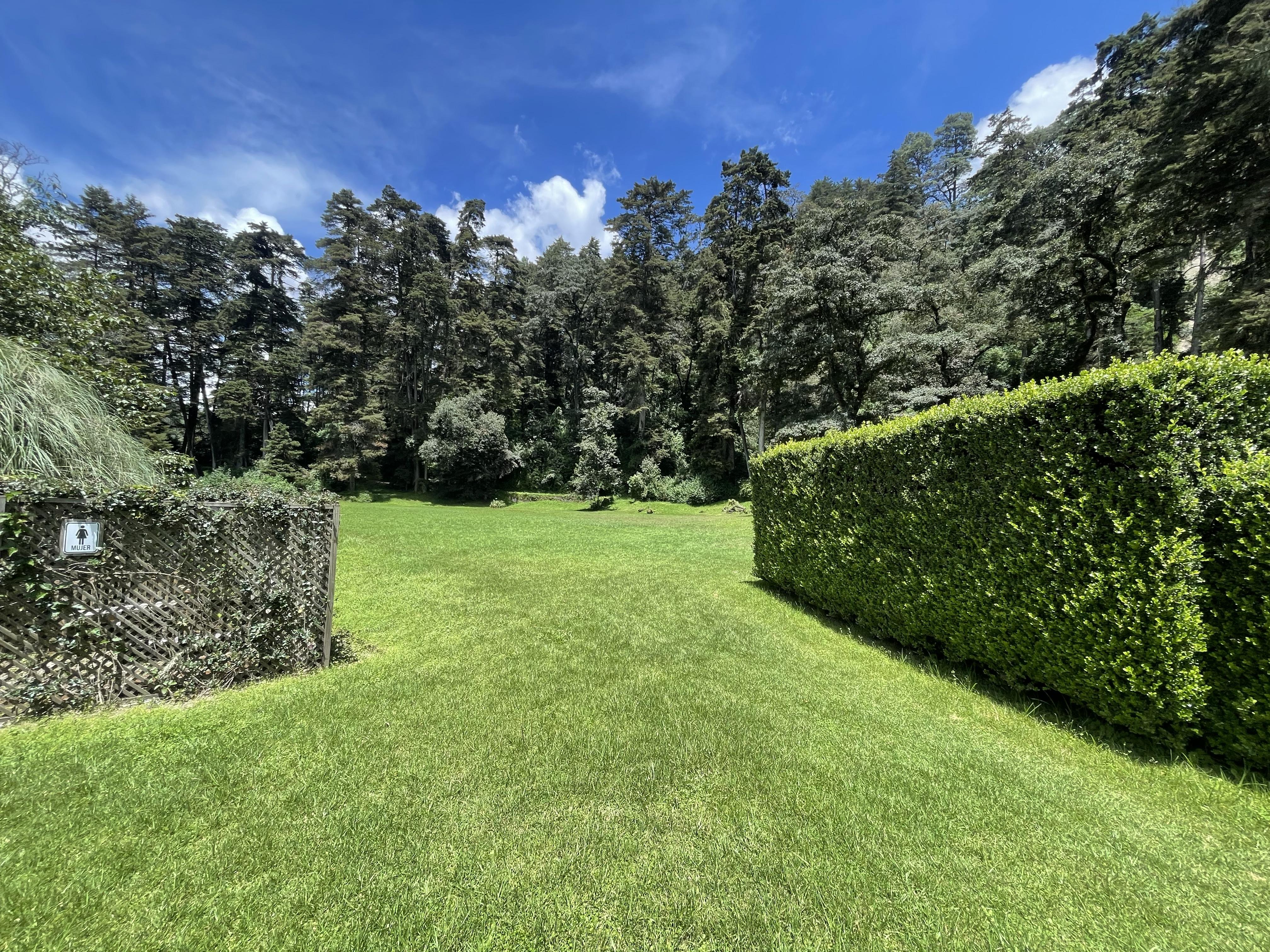 The Wedding Website of Maria Jose Añibarro and Andres Sosa