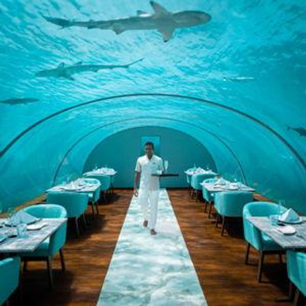 Dinner at the Ithaa Undersea Restaurant Maldives