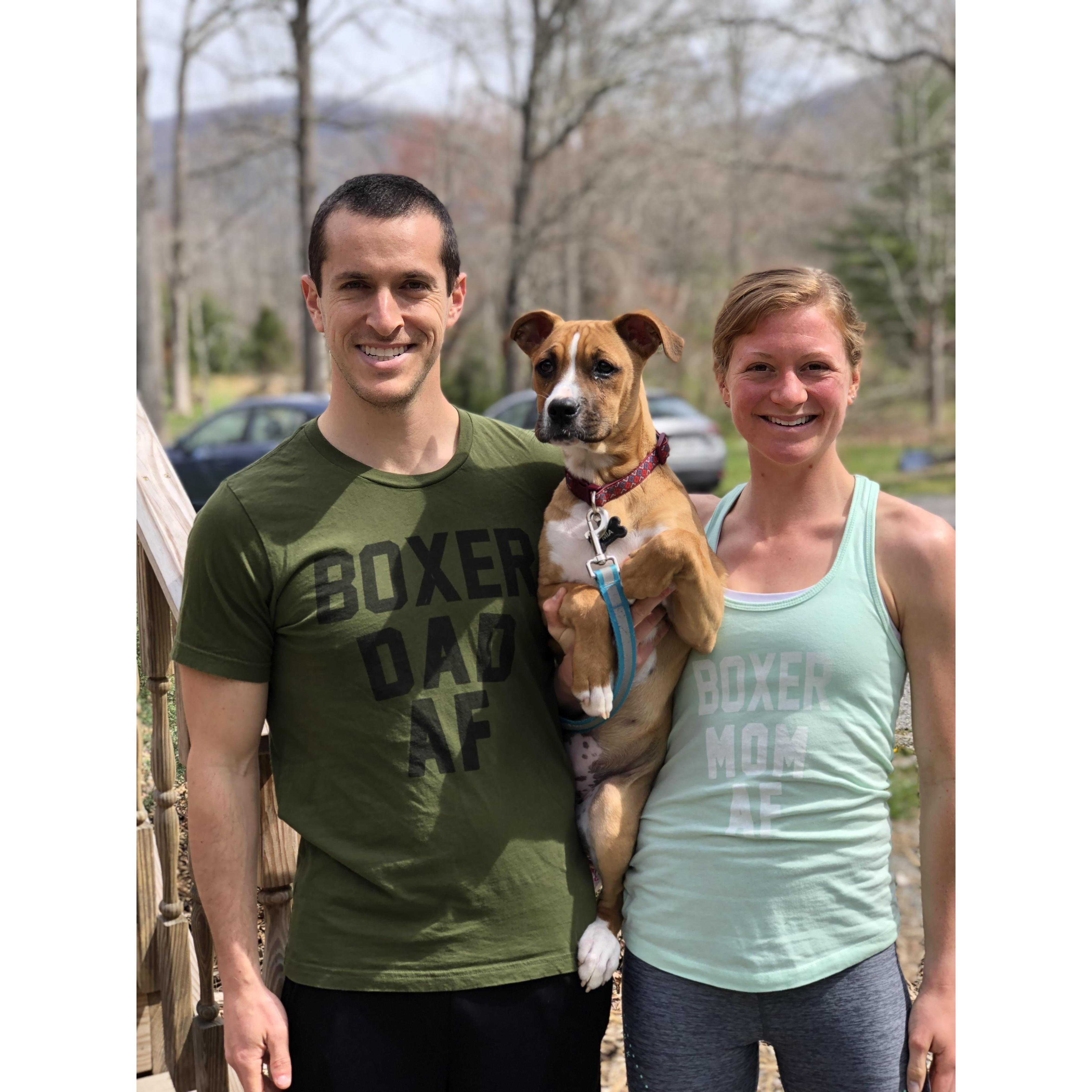 Boxer Dad and Mom AF