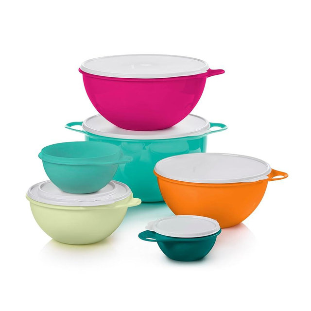 Tupperware Thatsa Bowl Collection 6 Bowl Food Storage Container Set in Fauna, Dishwasher Safe and BPA Free (6 Bowls, 6 lids)