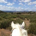 Susie Q Ranch