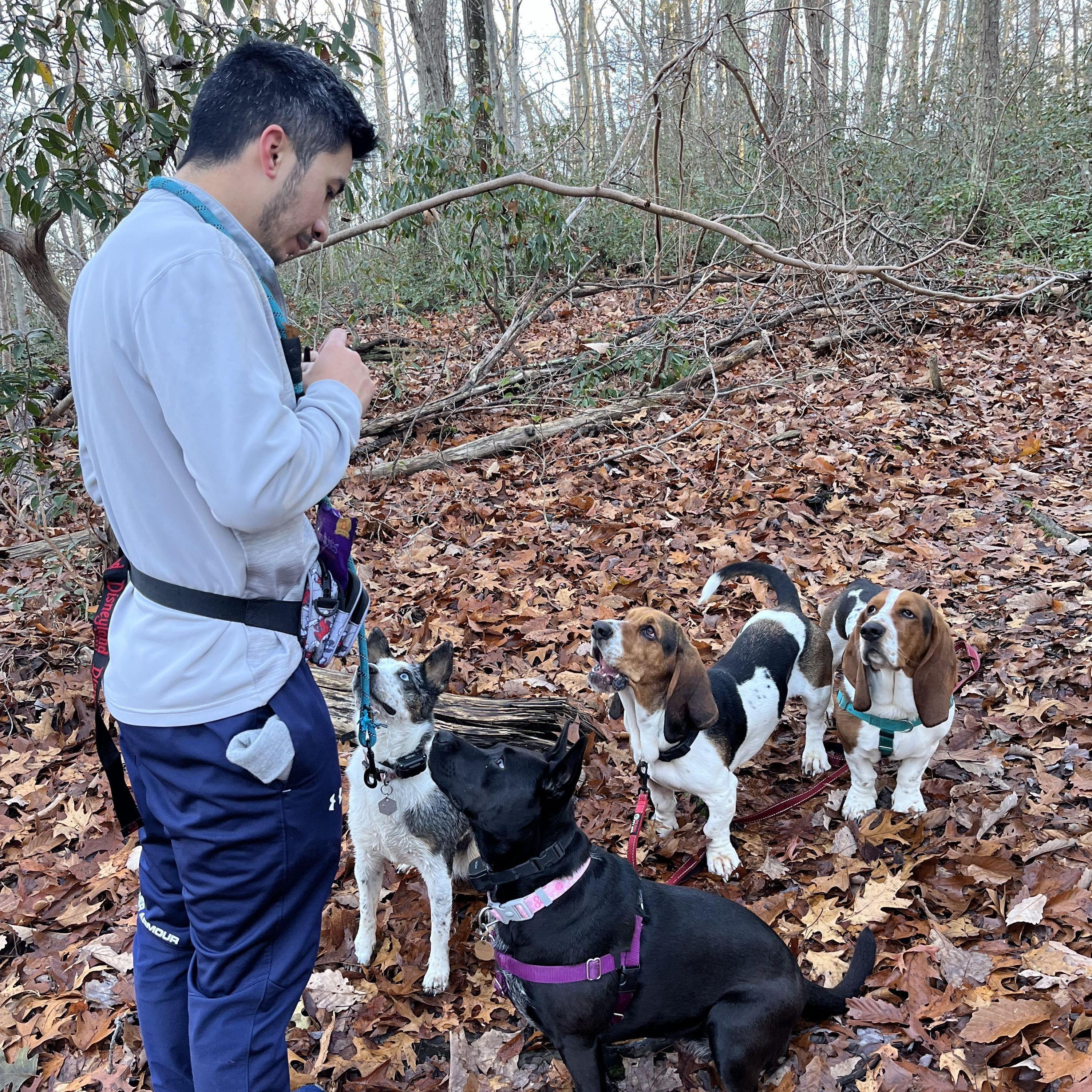 More hiking with our knuckleheads