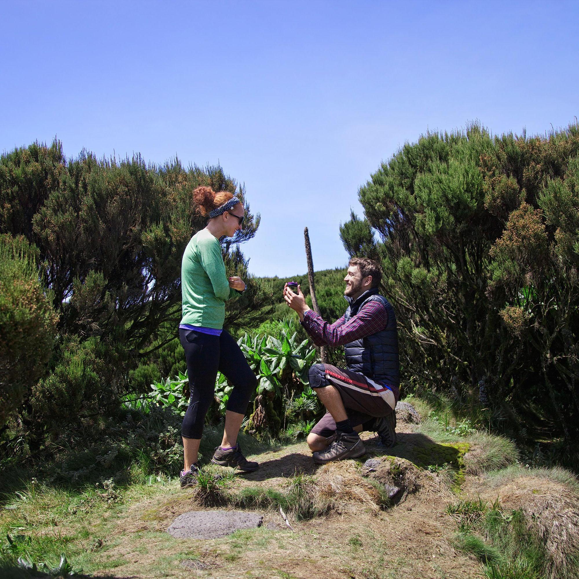 The proposal! On top of Mt Gahinga, Uganda.