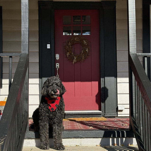 Our Home Renovation Fund