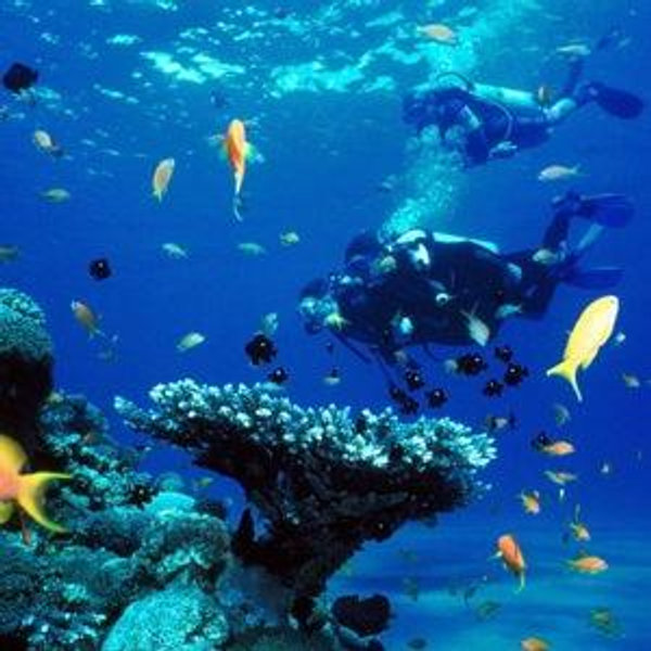 Honeymoon adventure: scuba diving
