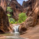 Red Cliffs National Conservation Area