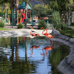 Zoo, Zoologico Parque del Niño