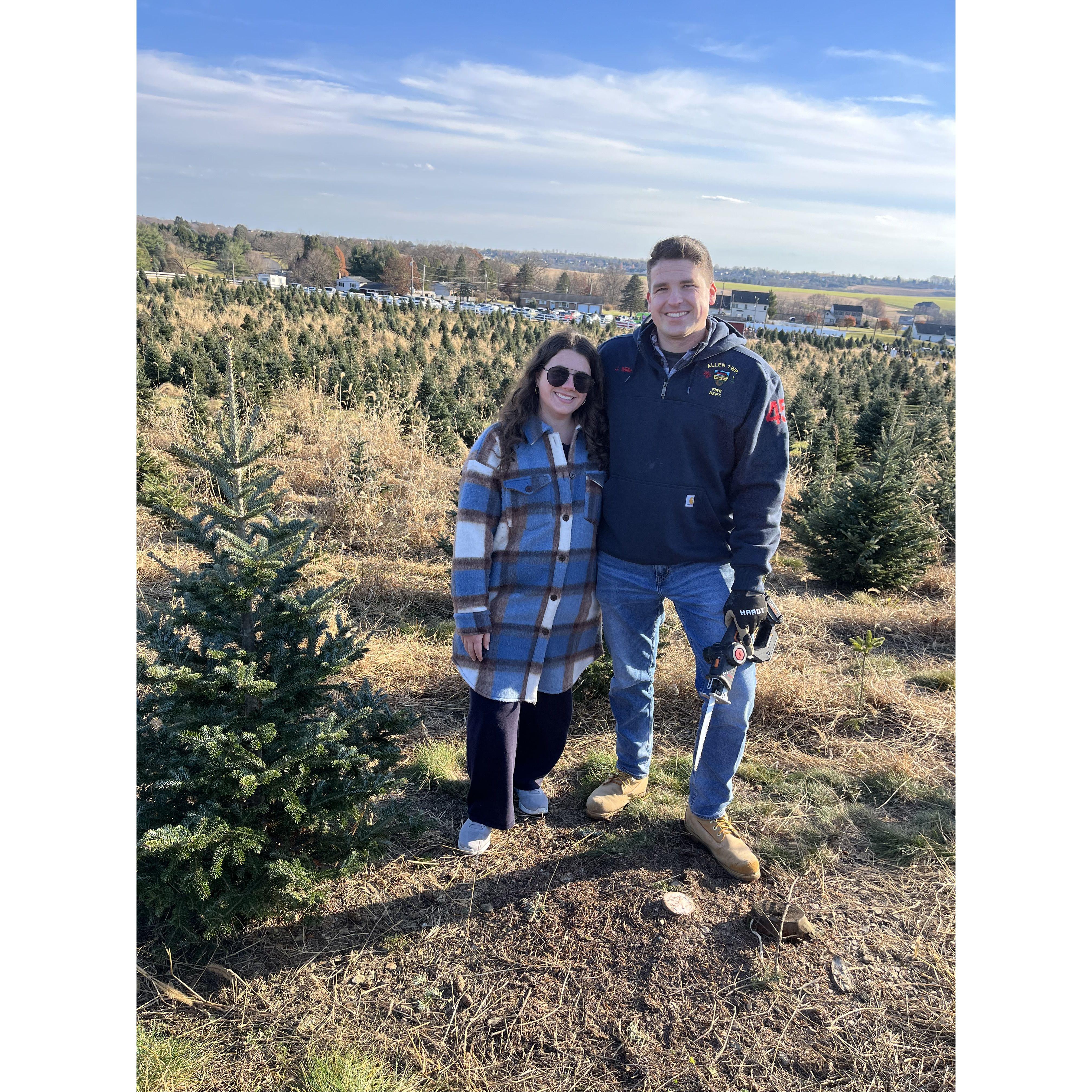 Christmas tree farm