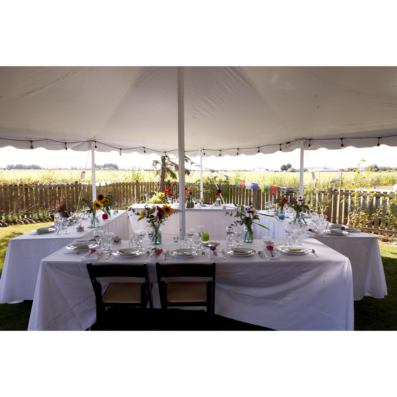 A tent was set up in the backyard with appropriately  distanced tables for a post-wedding dinner.