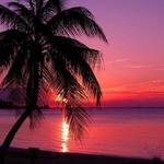 Sunset Cruise