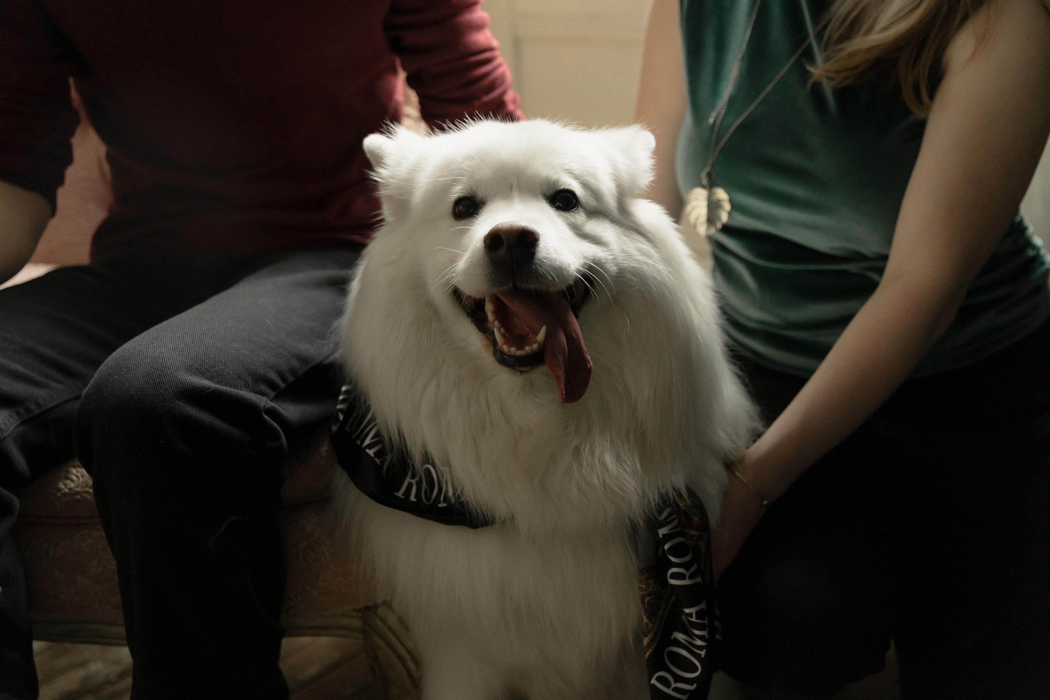 The Wedding Website of Tara Steinheiser and Luke Buettner