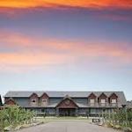 Dancing Dragonfly Winery