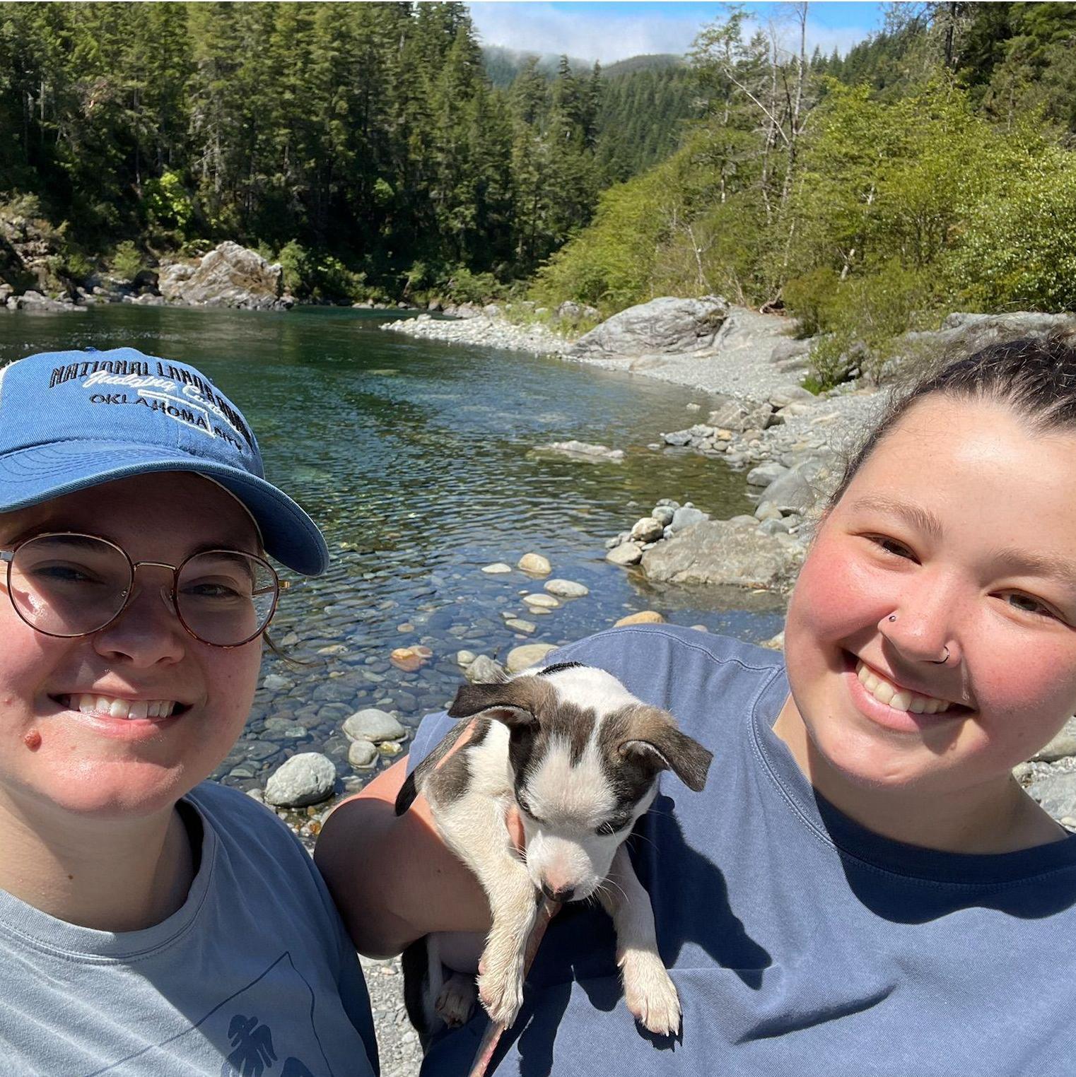 california roadtrip, 2024