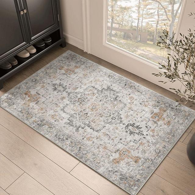GENIMO Area Rug 2x3 Doormat, Machine Washable Low Pile Rugs, Small Retro Chenille Entryway Mat for Entrance, Hallway, Kitchen and Corridor, Light Taupe Brown