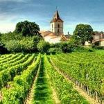Wineries