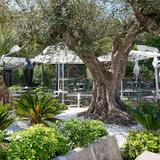 Le Jardin Poncet