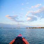 St Augustine ECO Tours