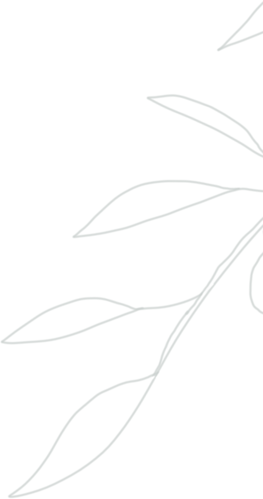Cassi vaassen and blake klinefelter s wedding website