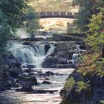 Brewery Park at Tumwater Falls