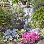 Missouri Botanical Garden