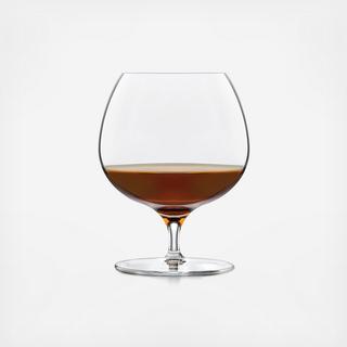 Signature Kentfield Brandy Glass, Set of 4
