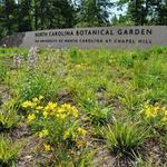 North Carolina Botanical Garden