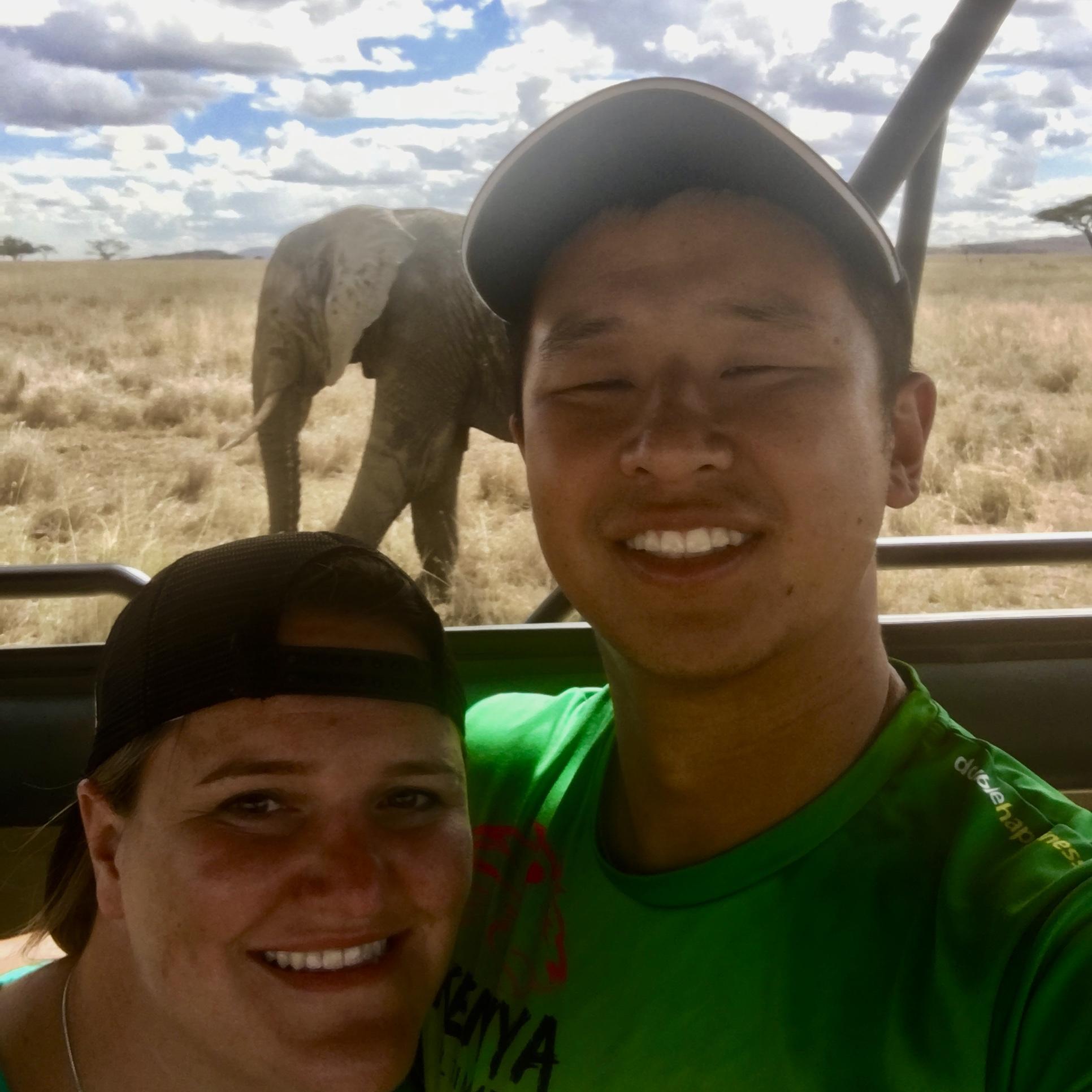 We really love elephants. Kind of our thing.