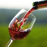 Kiepersol - The Grand Room, Winery, Distillery Tasting Room & Vineyard