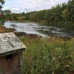 Flander's Land Trust - Whittemore Sanctuary