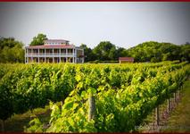 Willow Creek Farm & Winery