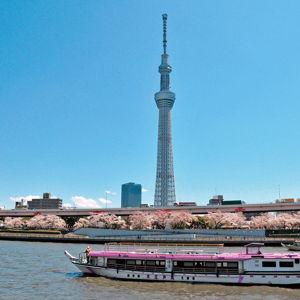 Sumida River Cruise