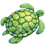 Green Turtle Inn