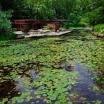 Alfred Caldwell Lily Pool