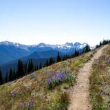 Deer Park Trailhead