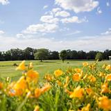 Touisset Country Club