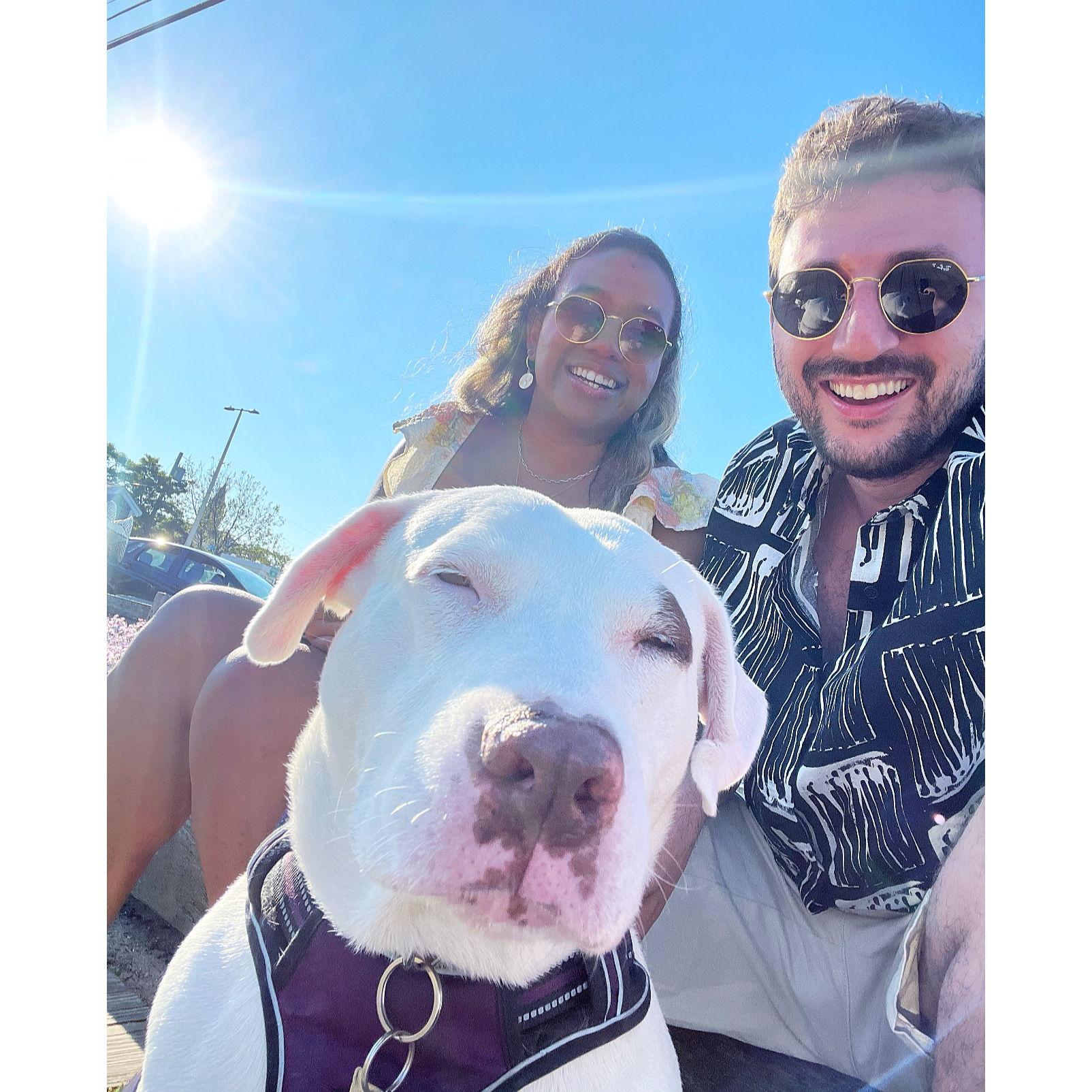 @ Provincetown in Cape Cod, MA