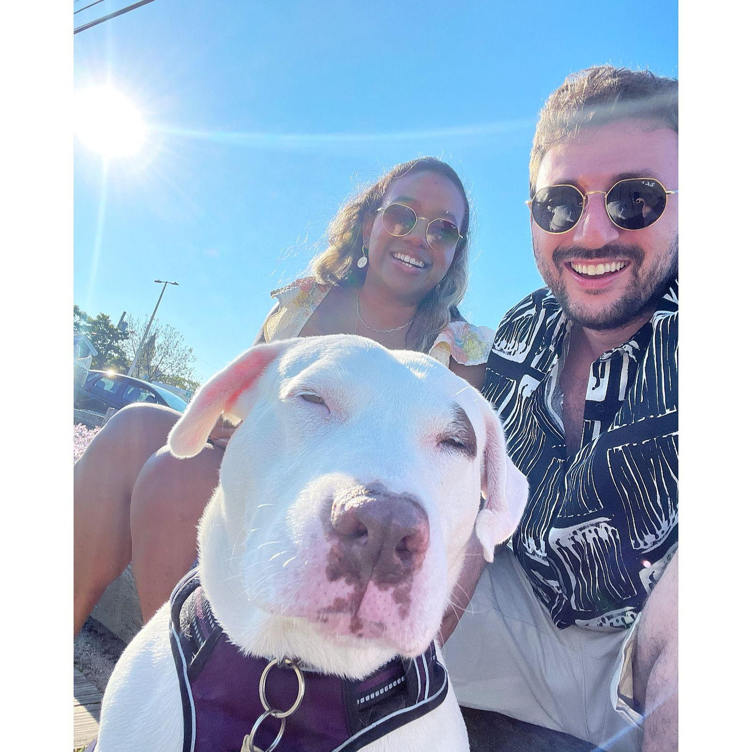 @ Provincetown in Cape Cod, MA