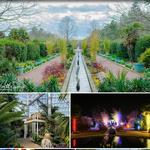Daniel Stowe Botanical Garden
