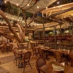 Bacari Silverlake + Bar Bacari