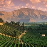Mendoza