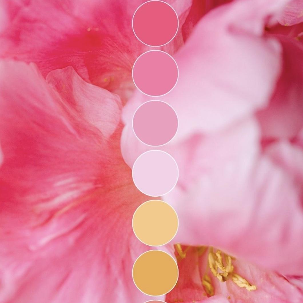 Wedding attire color ideas!