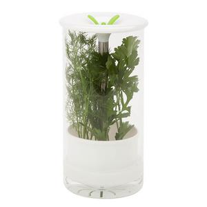 HoneyCanDo - Honey-Can-Do KCH-06398 Glass Herb Preserver, Clear/White