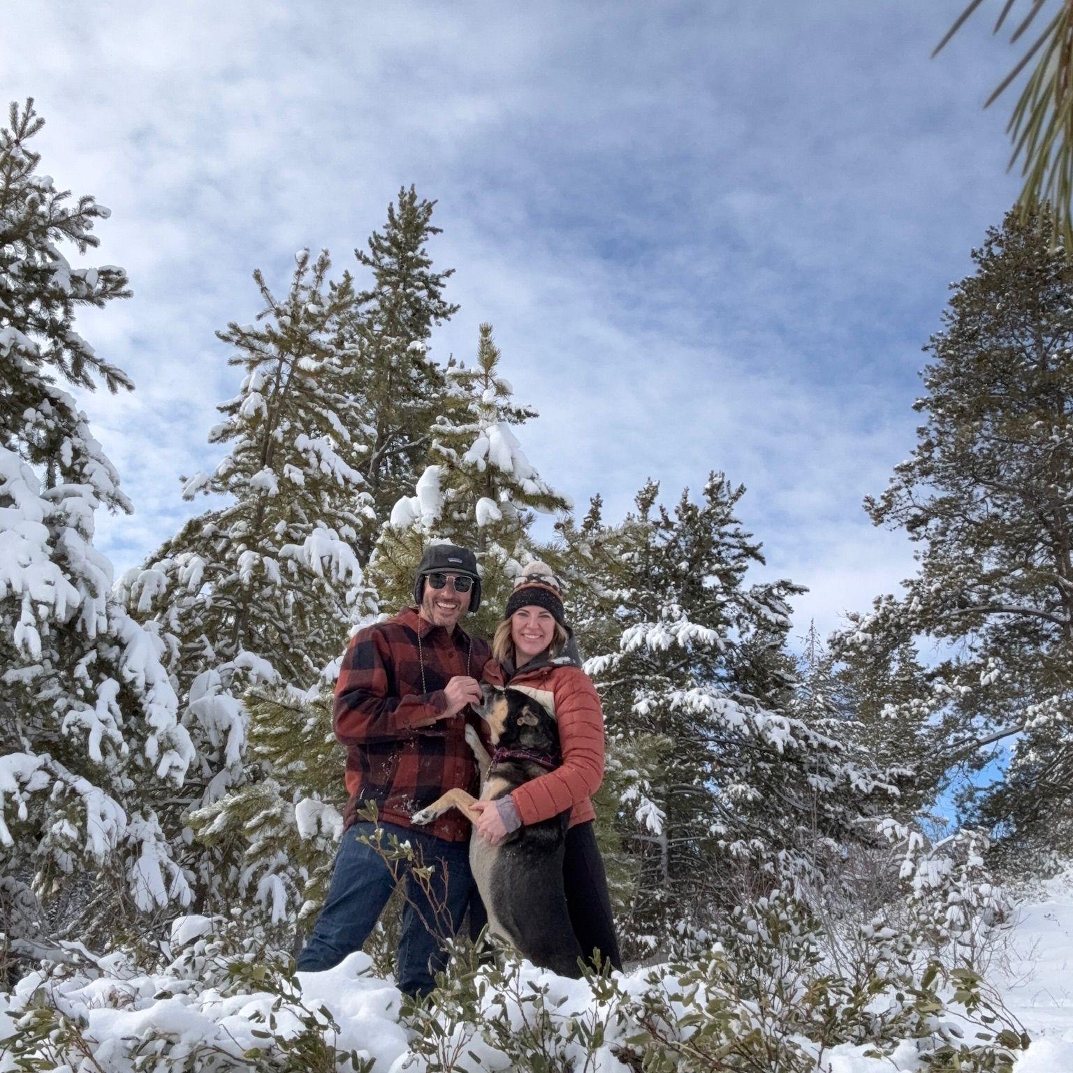 Christmas Tree Chopping