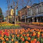 Pearl Street Mall