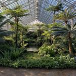Garfield Park Conservatory
