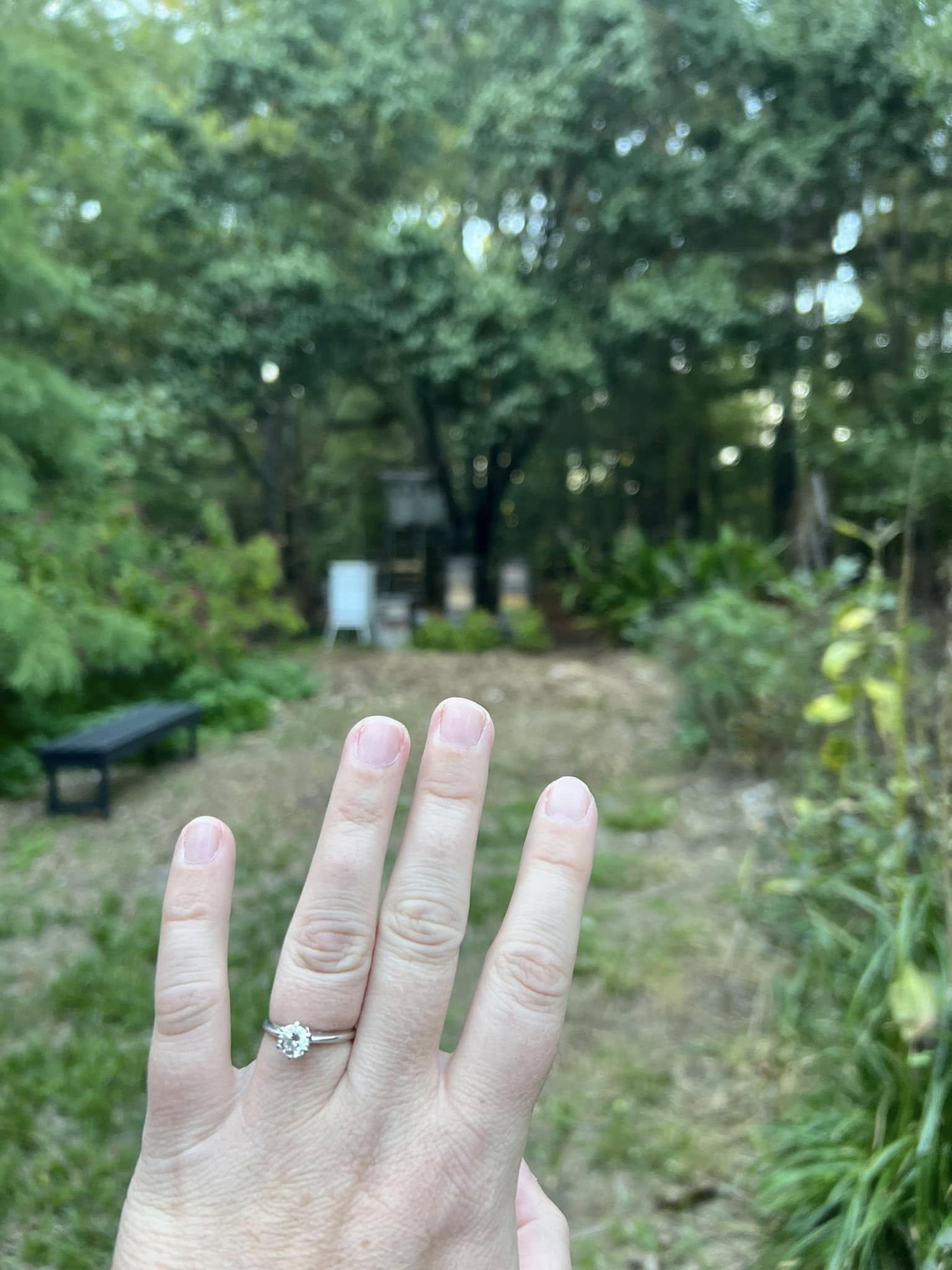 The Wedding Website of Molly Lieb and Wesley Seybold