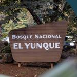 El Yunque National Forest