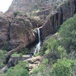 Dripping Springs Natural Area