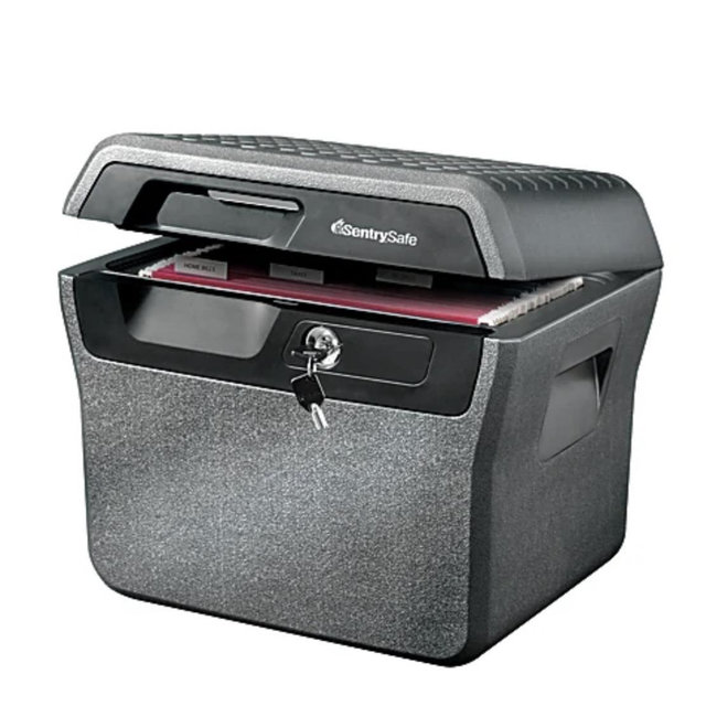 Sentry®Safe Waterproof Fire-Resistant File Holder, 44-Lb, 0.66 Cu Ft Capacity, Charcoal Gray